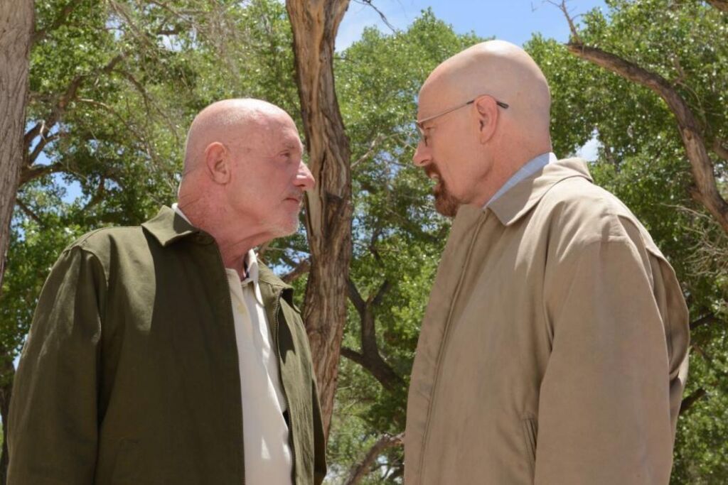 Le meurtre le in addition inutile dans le spectacle a été Walter White tirant sur Mike Ehrmantraut Le meurtre le in addition inutile dans le spectacle a été Walter White tirant sur Mike Ehrmantraut