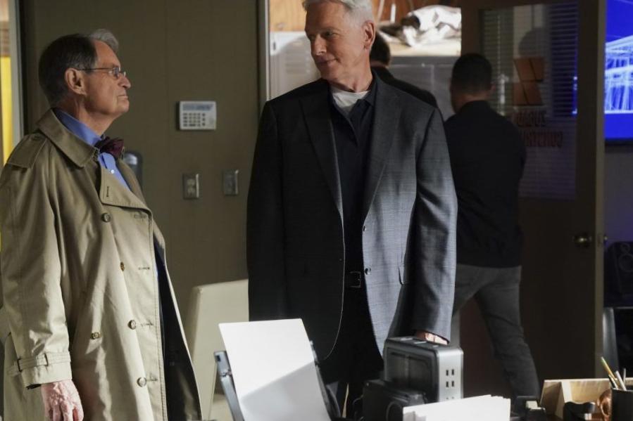Qui joue le as well as jeune Gibbs dans les flashbacks de la saison 18 ? Qui joue le as well as jeune Gibbs dans les flashbacks de la saison 18 ?