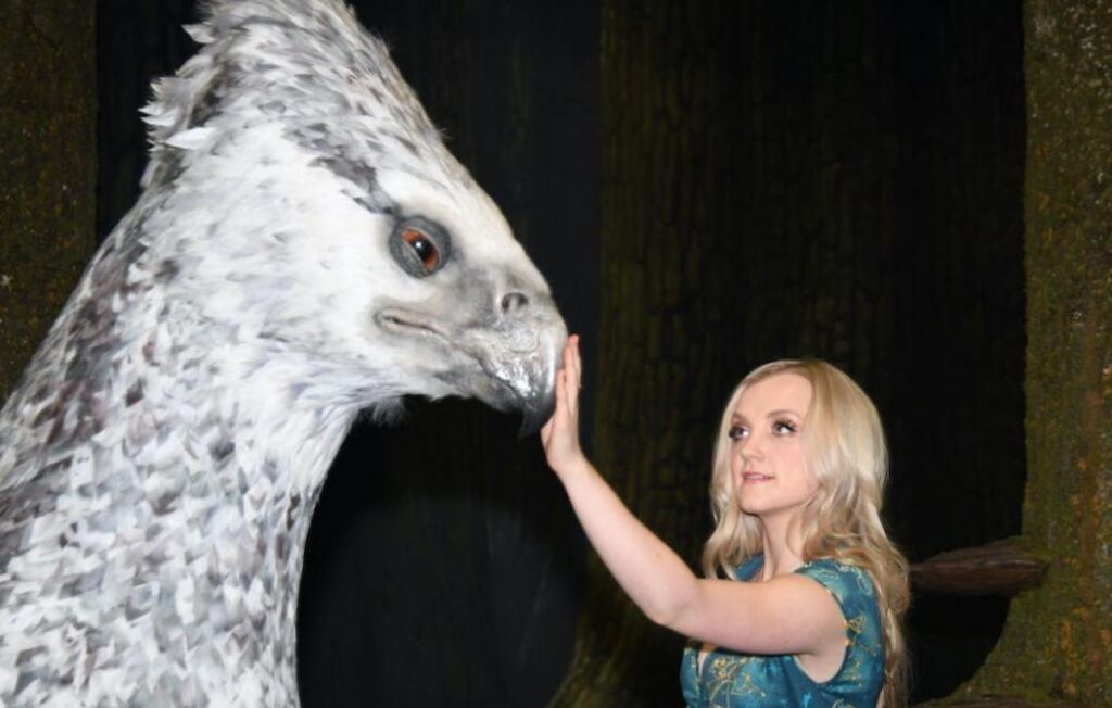 Evanna Lynch explique pourquoi Neville et Luna ne finiraient pas ensemble Evanna Lynch explique pourquoi Neville et Luna ne finiraient pas ensemble