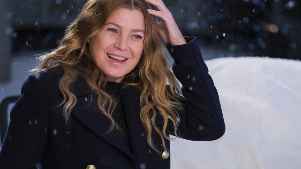 Quand la saison 17 de « Grey’s Anatomy » sera-t-elle sur Netflix ? Les supporters espèrent que de nouveaux épisodes tomberont bientôt