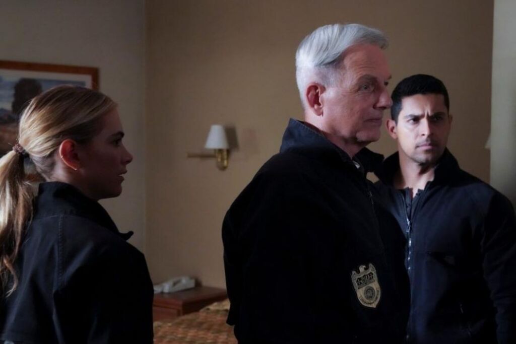 Les fans de « NCIS » craignent que la saison 19 ne soit le début de la fin Les fans de « NCIS » craignent que la saison 19 ne soit le début de la fin