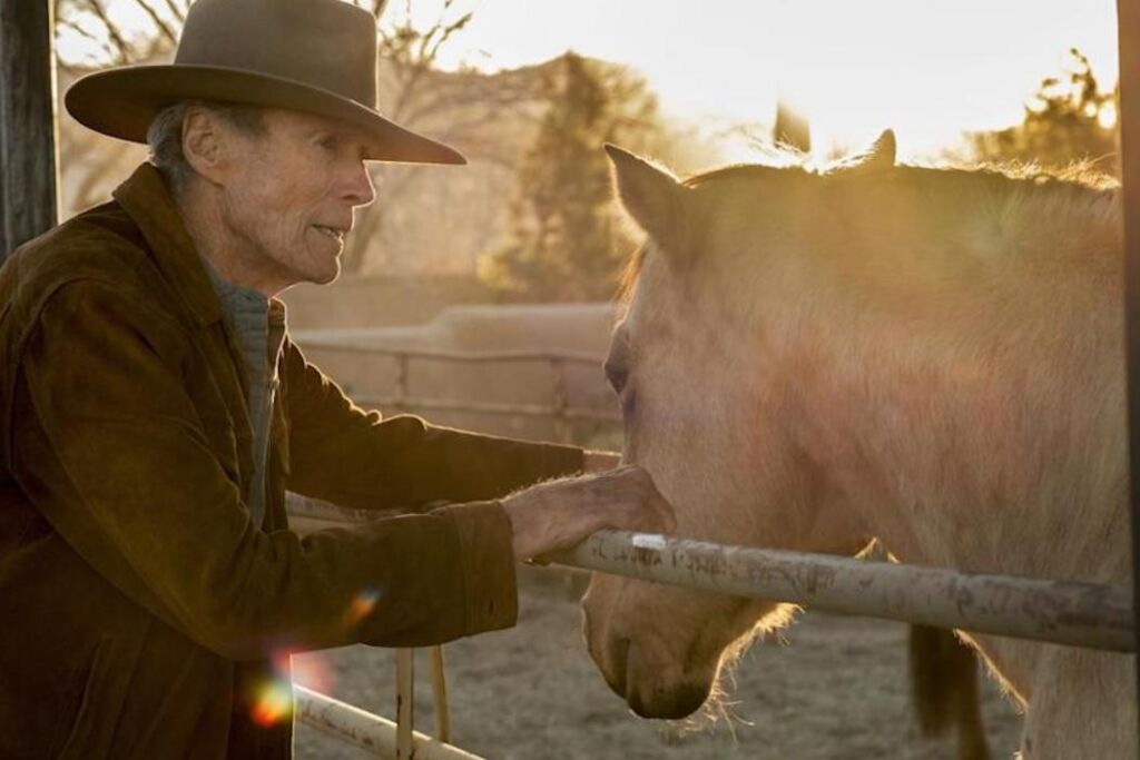 Clint Eastwood, star de « Cry Macho », admet être nerveux à l’idée de monter à cheval dans un nouveau movie