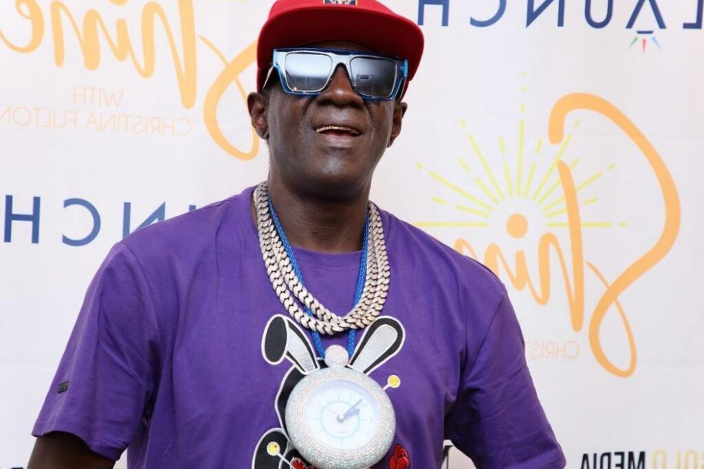 Flavour Flav a été presque écrasé par un rocher en conduisant Flavour Flav a été presque écrasé par un rocher en conduisant