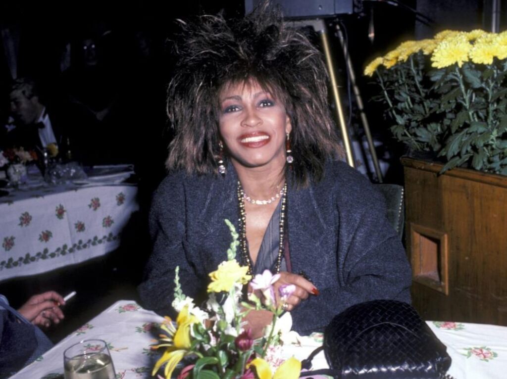 Pourquoi Dire Straits a donné à Tina Turner la chanson « Non-public Dancer »