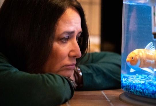 Récapitulatif de la finale de la série « Better Things » : comment cela s’est-il terminé pour Sam ?