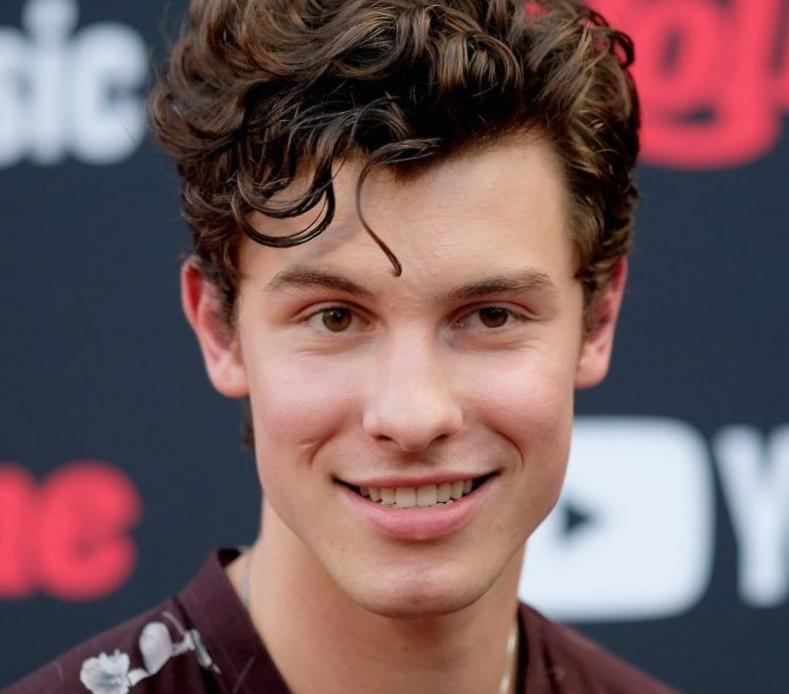 Combien de tatouages Shawn Mendes a-t-il ? Combien de tatouages Shawn Mendes a-t-il ?