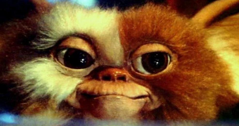 Gremlins Creator révèle des conceptions alternatives abandonnées pour Gizmo, Stripe Gremlins Creator révèle des conceptions alternatives abandonnées pour Gizmo, Stripe
