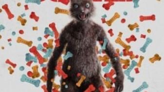 James Gunn de la Suicide Squad explique pourquoi la belette ne porte pas de vêtements