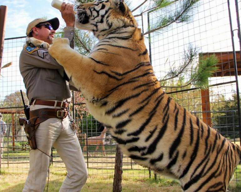 Dillon Passage dit que Joe Exotic ne connaît pas la série avec la mort de Travis Maldonado Dillon Passage dit que Joe Exotic ne connaît pas la série avec la mort de Travis Maldonado