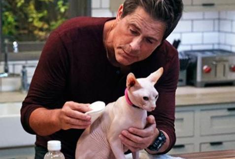 Récapitulatif ‘911 Lone Star’: Saison 3 Episode 13 – Le chat d’Owen et Catherine