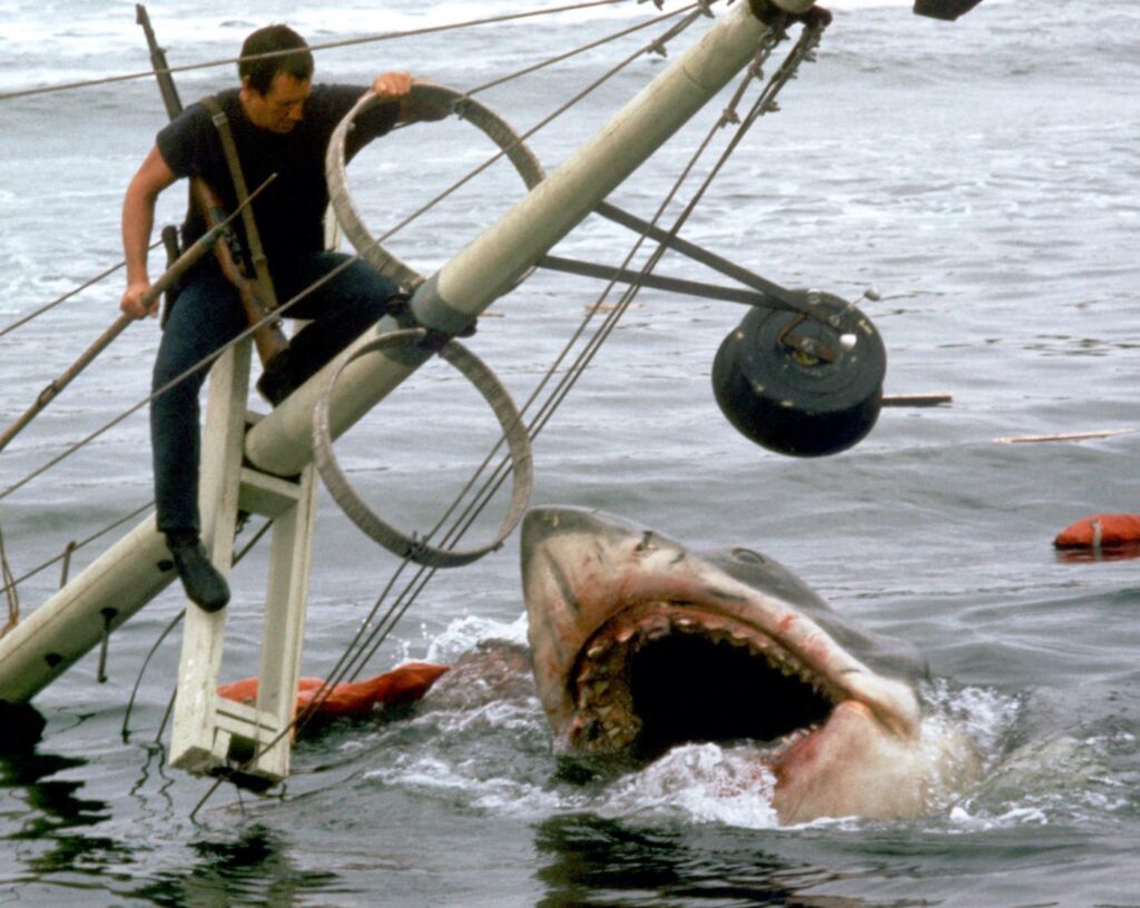 L’acteur de « Jaws » entre dans le rôle du vrai chef Brody dans Martha’s Vineyard L’acteur de « Jaws » entre dans le rôle du vrai chef Brody dans Martha’s Vineyard