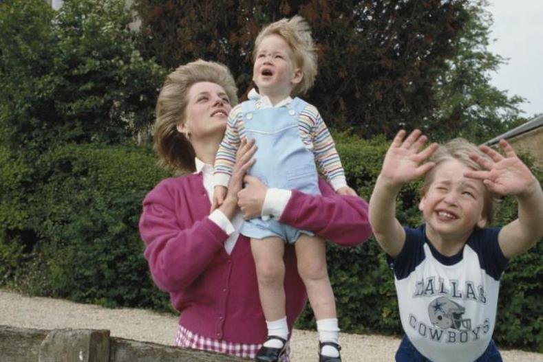 Qui ressemble plus à la princesse Diana sur ces photos, le prince William ou le prince Harry ? Qui ressemble plus à la princesse Diana sur ces photos, le prince William ou le prince Harry ?