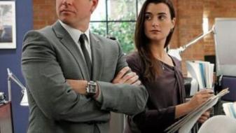 Michael Weatherly et Cote de Pablo sont-ils toujours amis ?