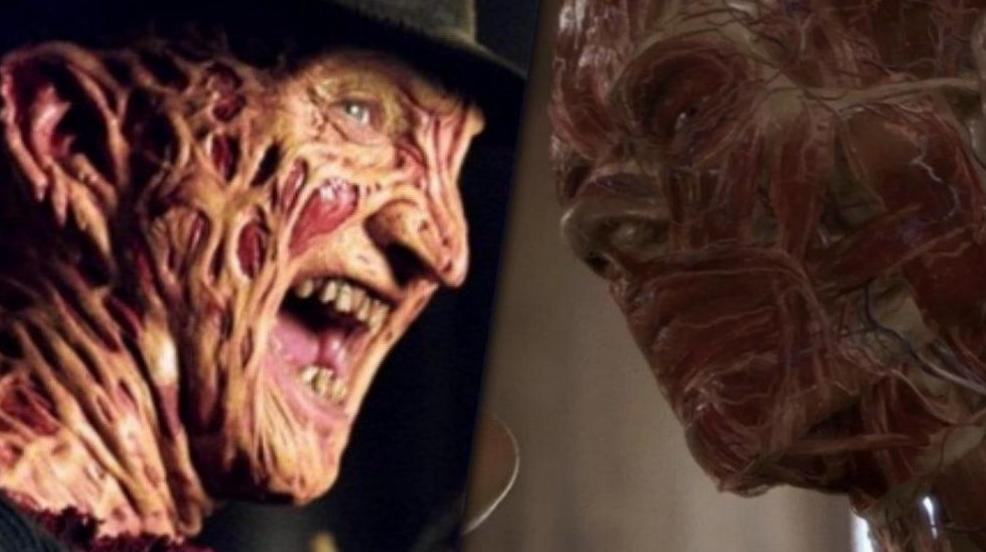 Kevin Bacon réagit à Robert Englund le soutenant en tant que nouveau Freddy Krueger Kevin Bacon réagit à Robert Englund le soutenant en tant que nouveau Freddy Krueger