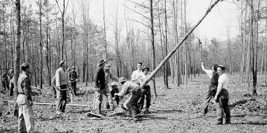 Forêts nationales protégées par le Corps civil de conservation ; Voir les photos