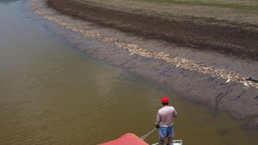 « Sans eau, il n’y a pas de vie » : la sécheresse en Amazonie brésilienne exacerbe les craintes pour l’avenir « Sans eau, il n’y a pas de vie » : la sécheresse en Amazonie brésilienne exacerbe les craintes pour l’avenir