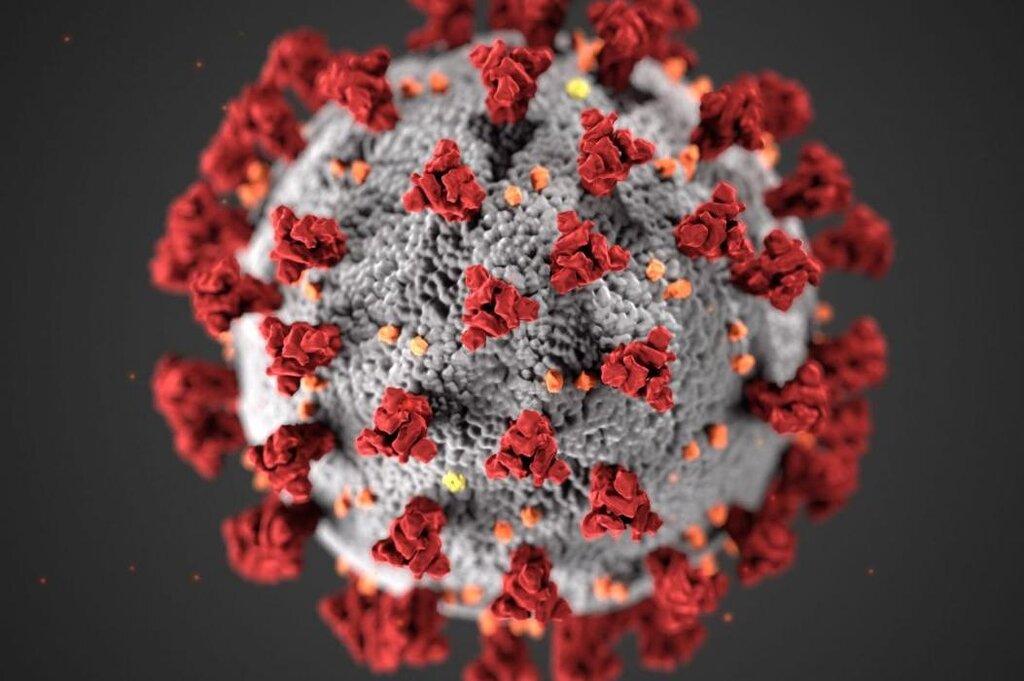 La Chine déclare qu’il n’y a pas de « nouveaux agents pathogènes » dans une grave épidémie respiratoire juvénile