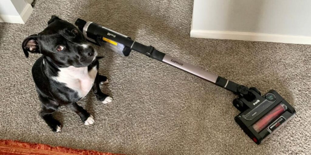 Examen de l’aspirateur sans fil Shark Stratos 2023 Examen de l’aspirateur sans fil Shark Stratos 2023