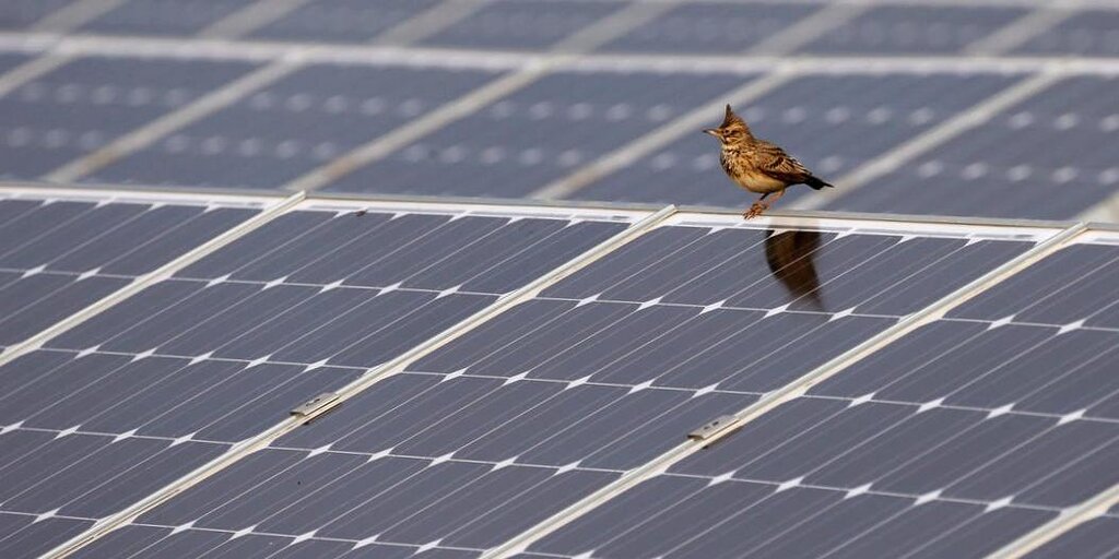 L'offre excédentaire de panneaux solaires a réduit les prix de moitié, mais pas aux États-Unis L'offre excédentaire de panneaux solaires a réduit les prix de moitié, mais pas aux États-Unis