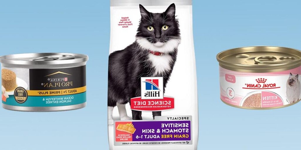 La meilleure nourriture pour chat pour un estomac sensible de 2024 La meilleure nourriture pour chat pour un estomac sensible de 2024