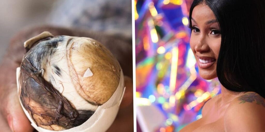 TikTok dit que la revue Balut Egg de Cardi B est « respectueuse » TikTok dit que la revue Balut Egg de Cardi B est « respectueuse »