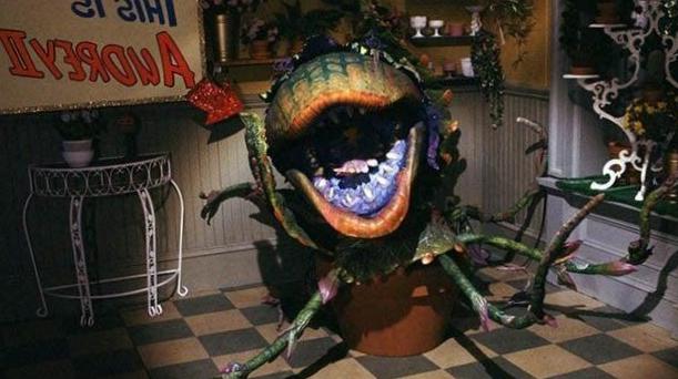 Joe Dante réalisera le redémarrage de Little Shop of Horrors Joe Dante réalisera le redémarrage de Little Shop of Horrors