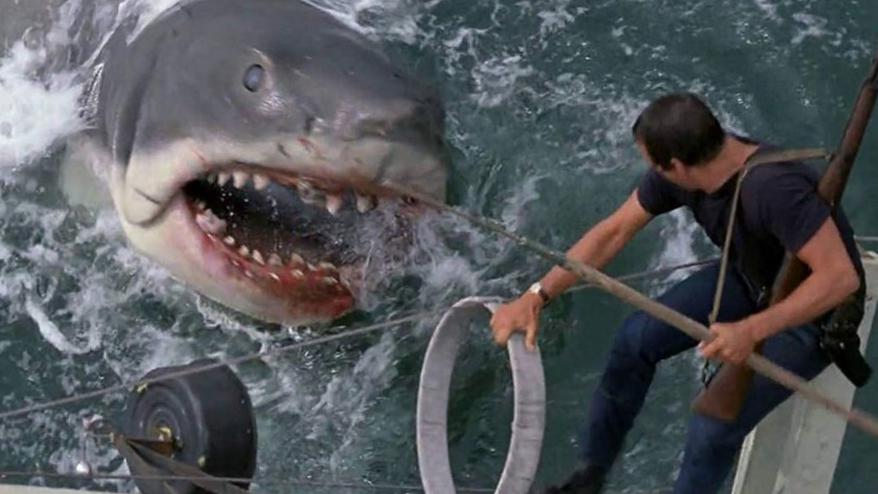 Film sous-estimé inspiré de Jaws : À voir 50 ans après sa sortie Film sous-estimé inspiré de Jaws : À voir 50 ans après sa sortie