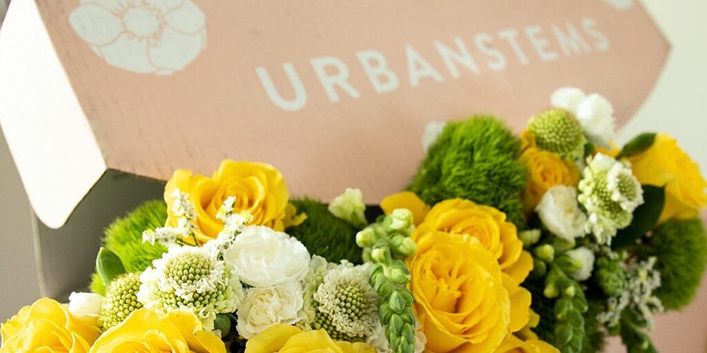 Coupons et codes promo UrbanStems : les meilleures offres de mars 2025 Coupons et codes promo UrbanStems : les meilleures offres de mars 2025