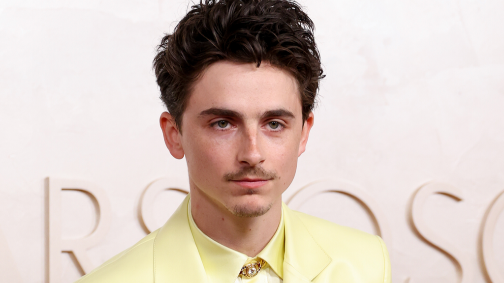 Timothée Chalamet : son look aux Oscars laisse les fans perplexes, où est Kylie ?