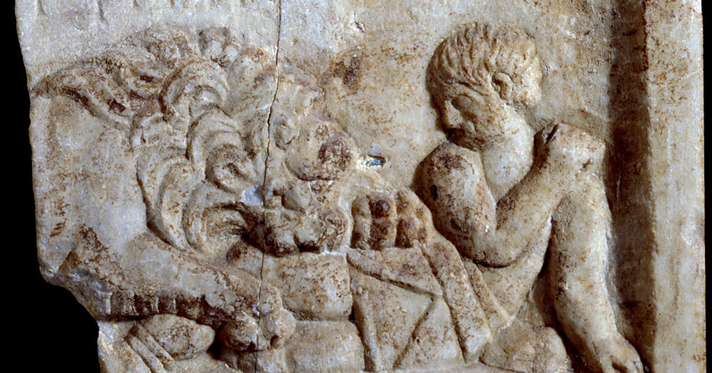 Des marques de morsures sur un squelette : première preuve de combats de gladiateurs avec des lions Des marques de morsures sur un squelette : première preuve de combats de gladiateurs avec des lions