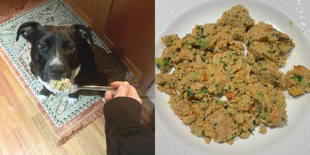 The Farmer’s Dog : Nourriture fraîche pour chiens, simple à servir et adorée des toutous
