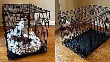 Voici les cinq meilleures cages pour chiens en 2025, testées et approuvées