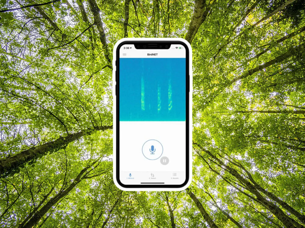Les meilleures applications pour se détendre après une longue journée #3