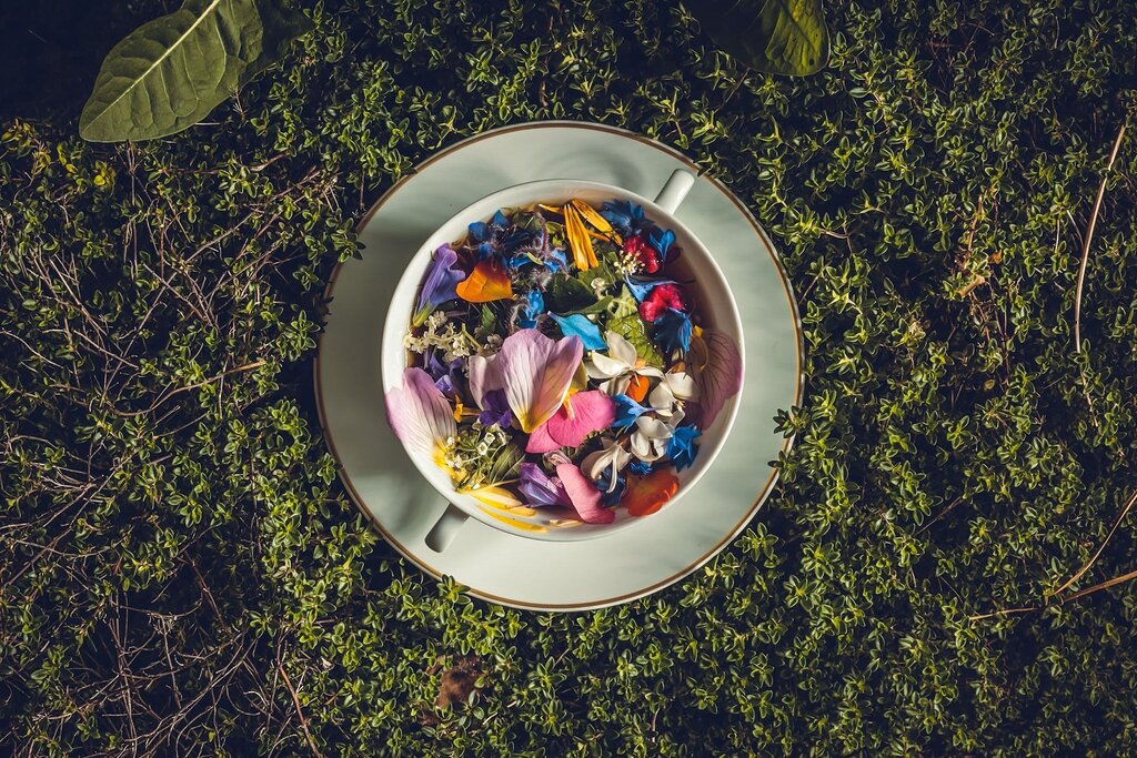 Découvrez cinq tables incontournables en France pour une expérience culinaire mémorable