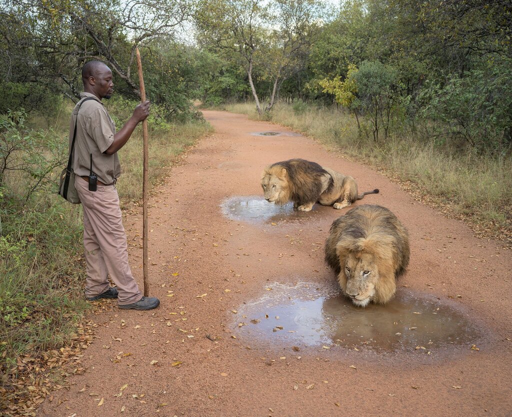 Les photos lauréates des Sony World Photography Awards 2025
