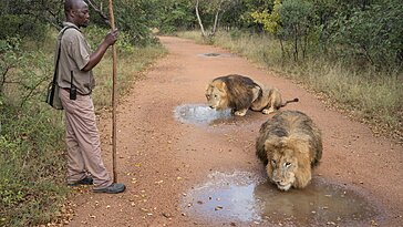 Les photos lauréates des Sony World Photography Awards 2025