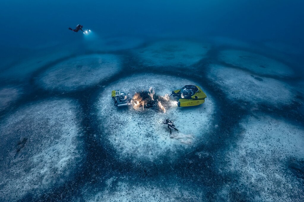 Laurent Ballesta et l’énigme des cercles sous-marins dissimulés Laurent Ballesta et l’énigme des cercles sous-marins dissimulés