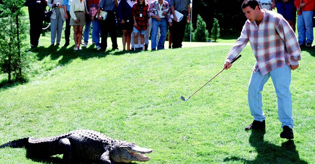 Morris, l’alligator célèbre du film « Happy Gilmore », est mort à 80 ans Morris, l’alligator célèbre du film « Happy Gilmore », est mort à 80 ans