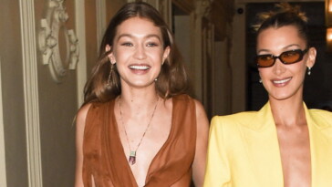 Gigi et Bella Hadid révèlent leur sœur cachée, Aydan Nix, âgée de 23 ans
