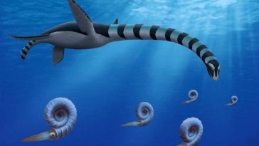 Une créature préhistorique récemment découverte au Canada est qualifiée de ‘monstre fascinant’