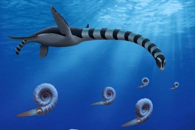 Une créature préhistorique récemment découverte au Canada est qualifiée de ‘monstre fascinant’