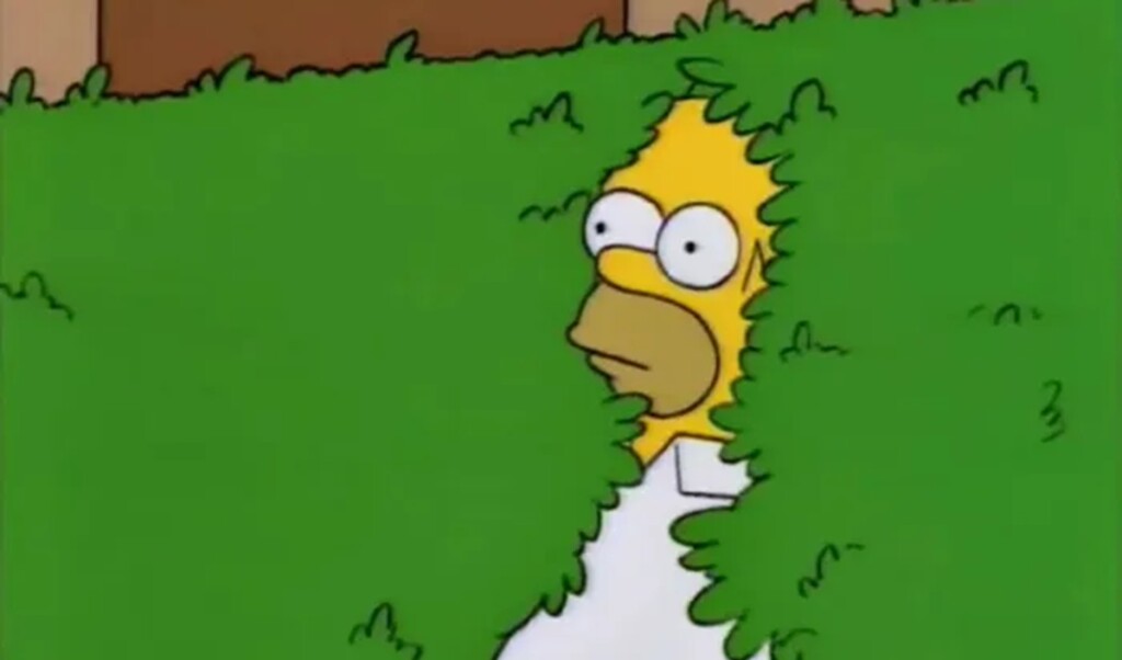 Le meilleur mème de Homer prend vie grâce aux fans des Simpsons