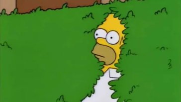 Le meilleur mème de Homer prend vie grâce aux fans des Simpsons