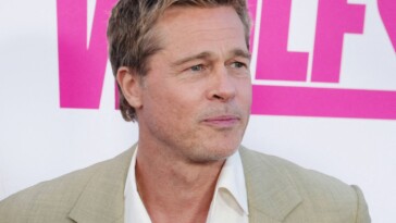 Brad Pitt commente son divorce d’avec Angelina Jolie après huit ans de litige juridique