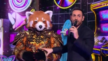 Panda roux : Quelle star éliminée ce vendredi 30 mai se dissimulait sous le costume ?