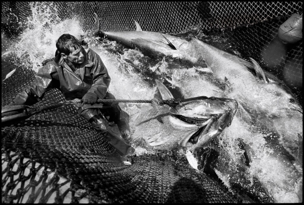 Jean Gaumy, photographe passionné par le monde maritime Jean Gaumy, photographe passionné par le monde maritime