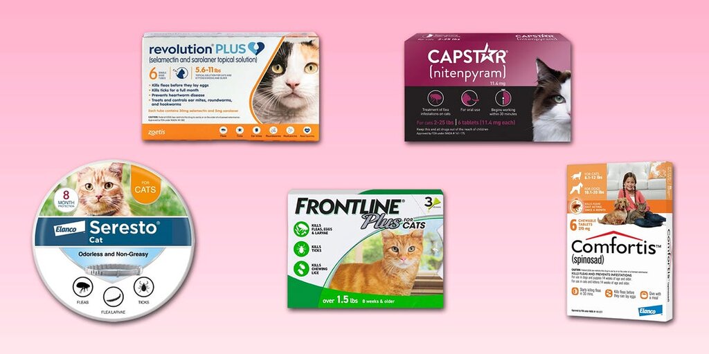 Les traitements et méthodes de prévention les plus efficaces contre puces et tiques chez les chats