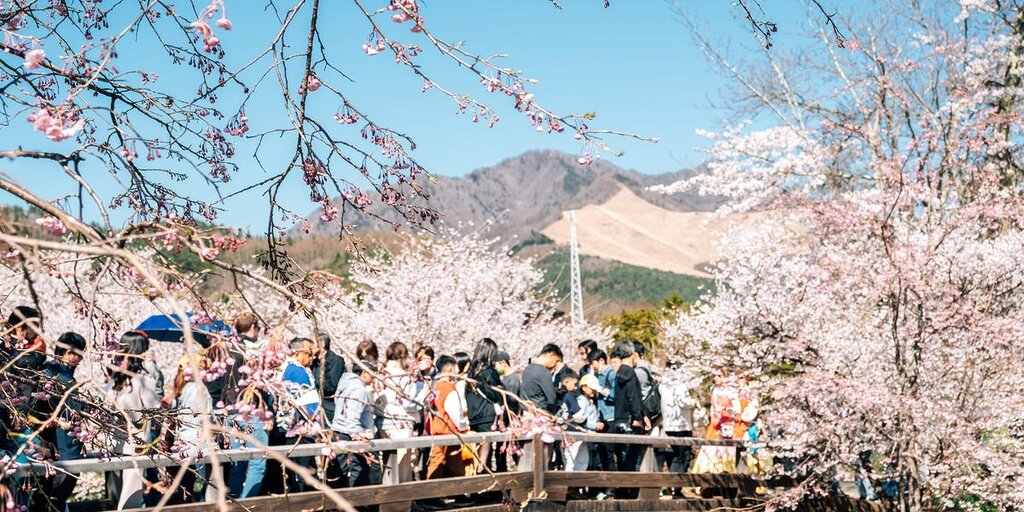 Lors de ma visite au Japon en pleine saison touristique, j’ai découvert une astuce efficace pour éviter la foule