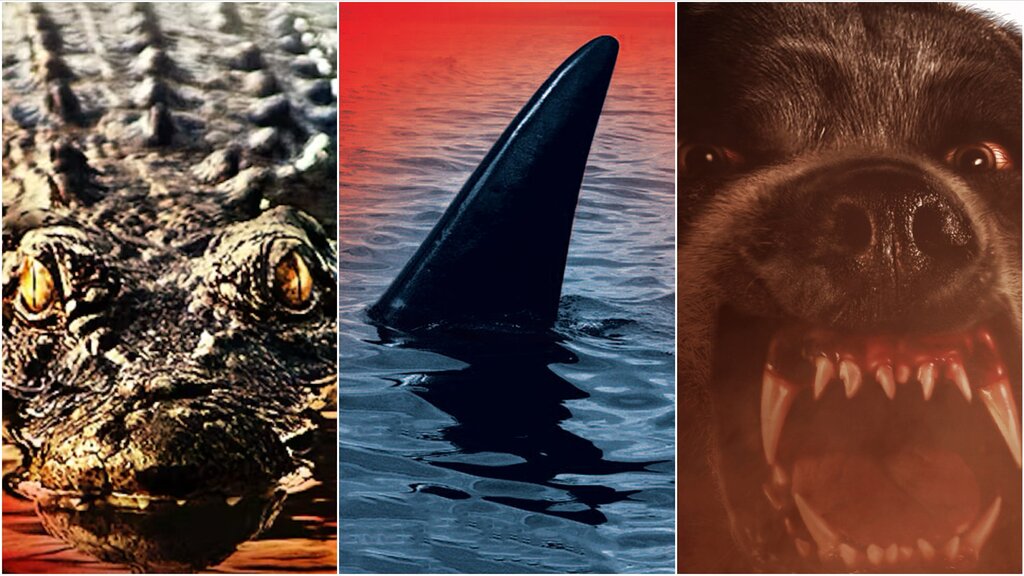 Killer Animal Horrors : 3 Films Notables Maintenant Disponibles en Streaming (Attention, Offre Limité)