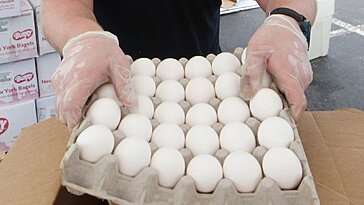 La FDA lève l’alerte sur le rappel d’œufs bruns contaminés par la salmonelle